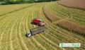 Agro 2030: el nuevo mapa econ&oacute;mico puede transformar las exportaciones de Am&eacute;rica Latina