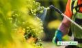 Biostimulantes y fertilizantes funcionales impulsan la innovaci&oacute;n agr&iacute;cola
