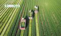 Agricultura biodin&aacute;mica: un modelo que integra suelo, cultivos y ganado