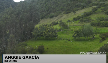 Museo campesino: patrimonio que conserva recuerdos del campo colombiano