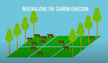&iquest;Qu&eacute; es la carne carbono neutral?