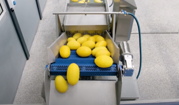 &iquest;C&oacute;mo beneficia el ozono a la agricultura?