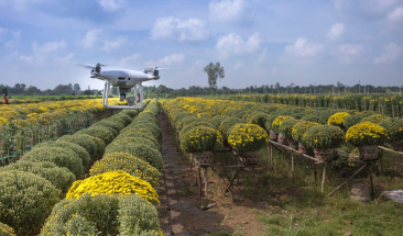 Silicon Valley: innovaci&oacute;n para agricultores