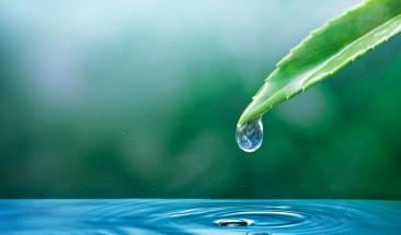 &iquest;C&oacute;mo una empresa puede ser sustentable?