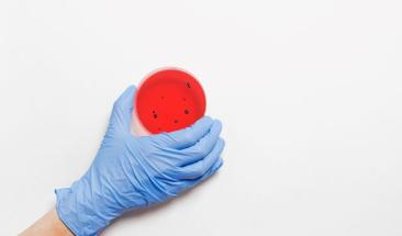 Bacterias peligrosas en glaciares del Tibet