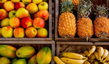 10 ideas de negocios rentables y ecol&oacute;gicos