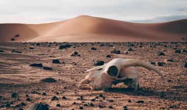 10 maneras de prevenir el golpe de calor