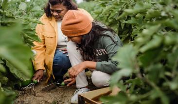 &iquest;C&oacute;mo erradicar el trabajo infantil?
