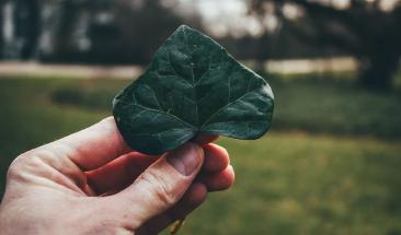 Las industrias de la moda y belleza presentan compatibilidad con la ecolog&iacute;a