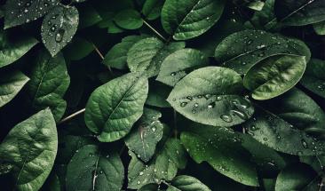 Combustible a partir del sol y el agua