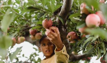 Guatemala: el campesino que hizo florecer un desierto
