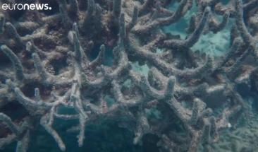 Miami Beach, modelo de playa progresista y sustentable