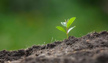 Programa de Generaci&oacute;n de Negocios Verdes en Colombia