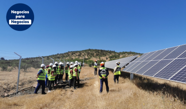 Renovables deben multiplicarse por cuatro para frenar cambio clim&aacute;tico