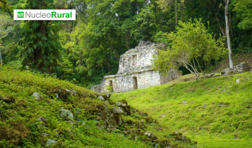 Conoce los cinco monumentos naturales de M&eacute;xico