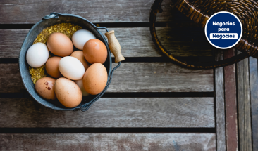 La presencia de la influenza aviar no pone en riesgo el consumo de huevos y carne de pollo