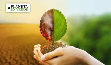 Los efectos del cambio clim&aacute;tico que seguramente desconoces