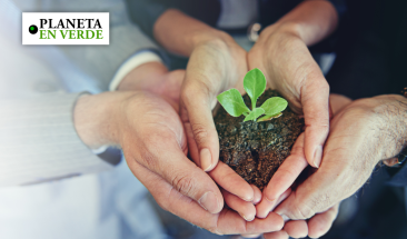 Sostenibilidad: punto clave para las empresas en 2023