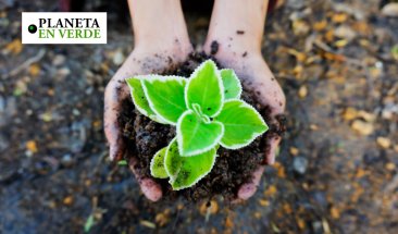 80% de empresas en Latam valoran las pr&aacute;cticas sostenibles