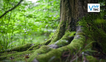 &ldquo;El camino de la muerte&rdquo; en Bolivia se llena de vida