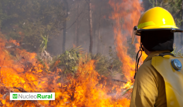 Incendios forestales cuestan US$ 50 000 millones cada a&ntilde;o al mundo