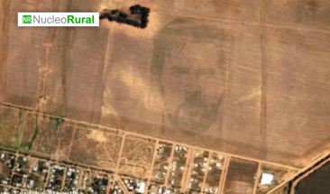 Rostro de Messi crece en campo de ma&iacute;z argentino