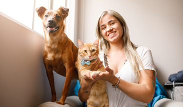 Negocios rentables en el sector mascotas