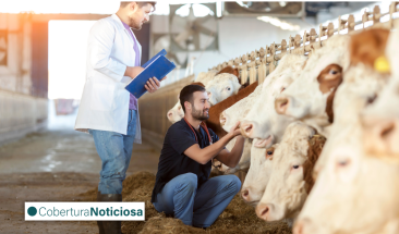 Ganader&iacute;a: cuatro ventajas de implementar un sistema de trazabilidad alimentaria