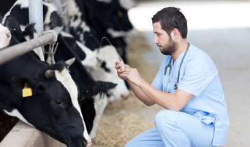 Ganader&iacute;a: cuatro ventajas de implementar un sistema de trazabilidad alimentaria