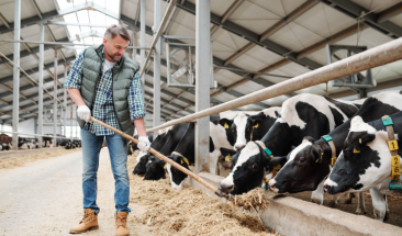 Ganader&iacute;a: cuatro ventajas de implementar un sistema de trazabilidad alimentaria