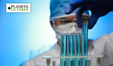 Industria av&iacute;cola: tecnolog&iacute;a e innovaci&oacute;n promueven la sustentabilidad