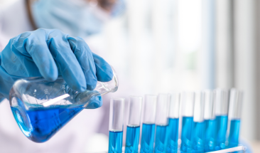 Industria av&iacute;cola: tecnolog&iacute;a e innovaci&oacute;n promueven la sustentabilidad