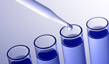 Industria av&iacute;cola: tecnolog&iacute;a e innovaci&oacute;n promueven la sustentabilidad