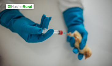 Amenazas de la gripe aviar H5N1 para los humanos