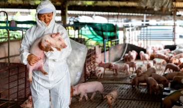 Bienestar animal y trascendencia en la industria