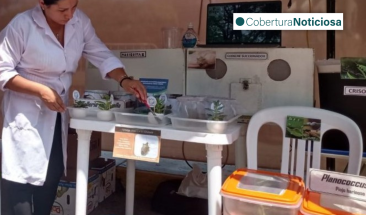 Municipalidad de Miraflores present&oacute; iniciativa para el control de plagas sin uso de insecticidas