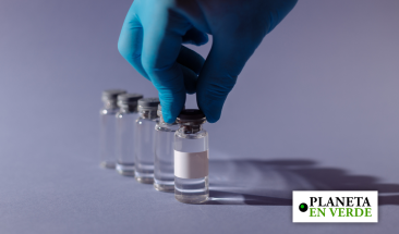 Per&uacute;: aprueban la comercializaci&oacute;n de vacuna contra la influenza aviar