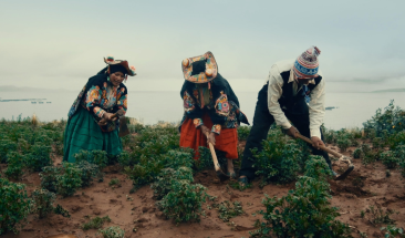 Documental &ldquo;Hatun Phaqcha, Tierra Sana&rdquo; gana la Biznaga de Plata en el Festival de Cine de M&aacute;laga