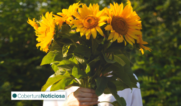 &iquest;Por qu&eacute; hoy se regalan flores amarillas en M&eacute;xico?