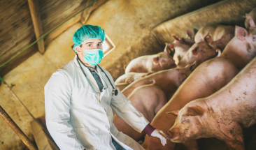 Vacunaci&oacute;n sin aguja: Nueva Tecnolog&iacute;a de aplicaci&oacute;n para la industria porc&iacute;cola