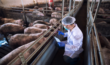 Vacunaci&oacute;n sin aguja: Nueva Tecnolog&iacute;a de aplicaci&oacute;n para la industria porc&iacute;cola