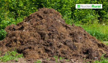 Argentina: esti&eacute;rcol para producir fertilizantes biol&oacute;gicos