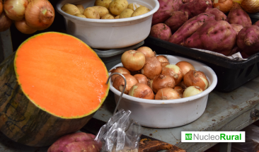 &iquest;C&oacute;mo afect&oacute; el cicl&oacute;n Yaku a la exportaci&oacute;n peruana?