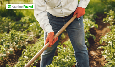 Per&uacute;: activa el seguro catastr&oacute;fico y recibe S/800 por hect&aacute;rea