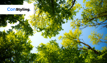 Marcas de belleza que protegen los bosques