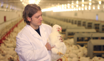 Chile toma medidas preventivas tras confirmar el primer caso humano de gripe aviar H5N1