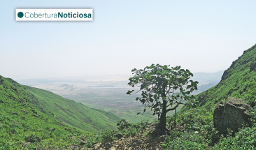 SERFOR suspende exclusi&oacute;n de lomas costeras de la lista de ecosistemas fr&aacute;giles