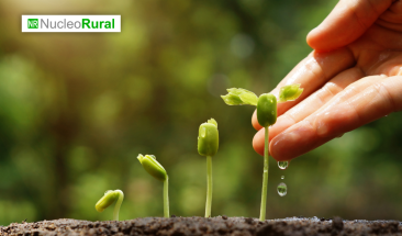 Bimbo y Danone apuestan por la sostenibilidad en M&eacute;xico