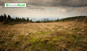 Las fuertes lluvias afectan la agricultura en el norte del Per&uacute;