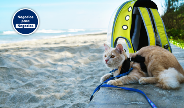 Cinco consejos que debes tener en cuenta si piensas salir de viaje con tu mascota